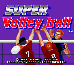 Super Volley Ball screenshot 3 for Sega Mega Drive